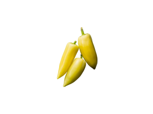 Paprika-šilja
