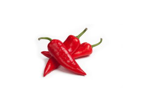 Paprika-šilja-crvena