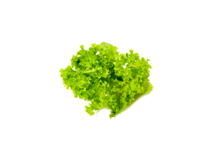 Salata-lolo-biondo